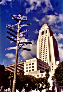 city hall Palm stores   reloaded